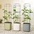vego-garden-Self-WateringRollingTomatoPlanterPotwithTrellis