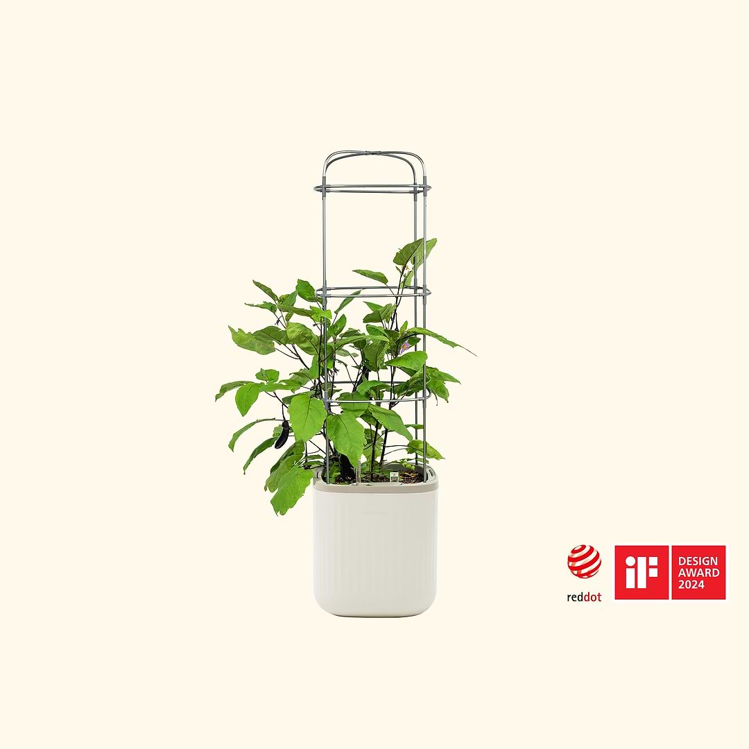 rolling self-watering tomato planter Self-Watering Rolling Tomato Planter with Trellis–Vego Garden, Fog Gray