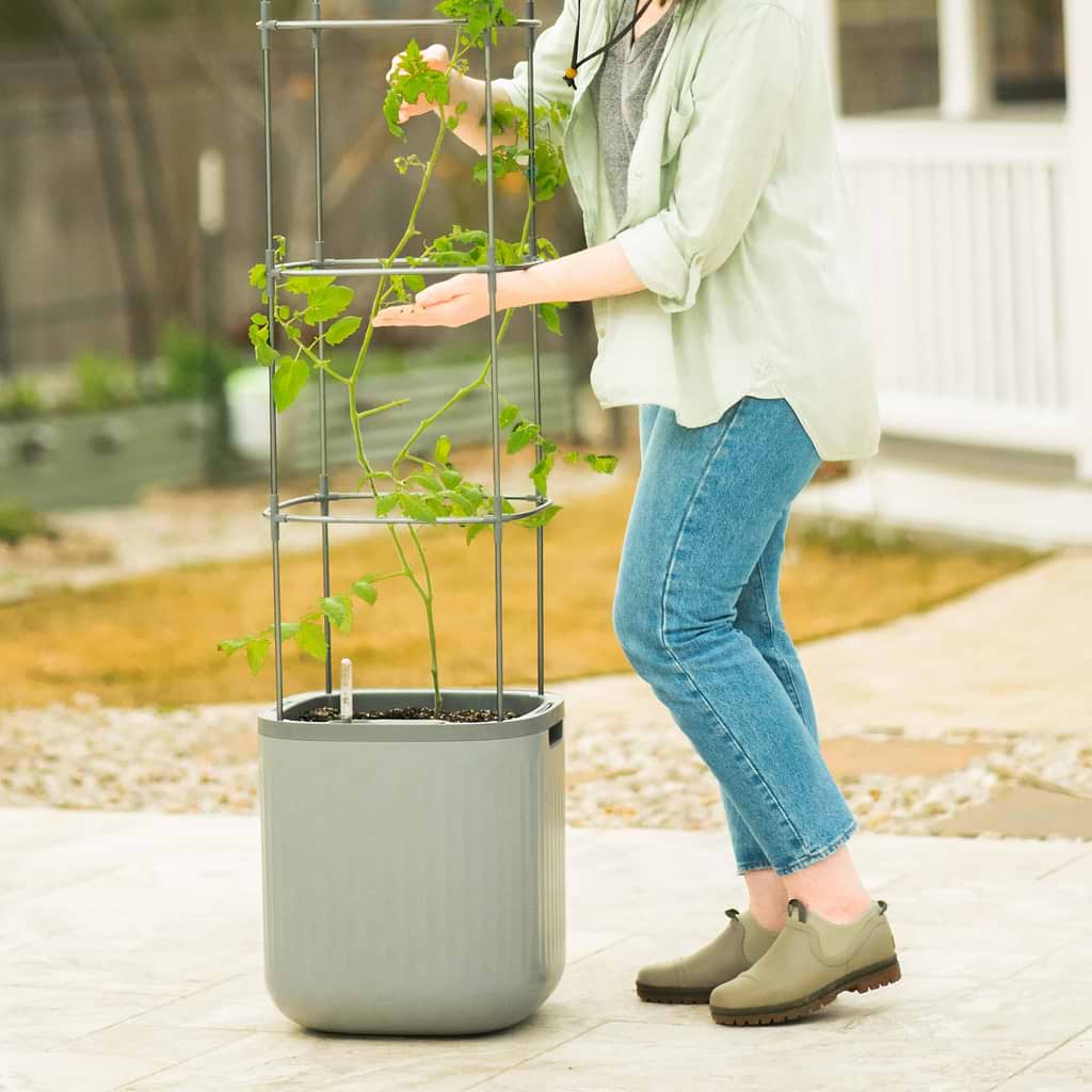 rolling self-watering tomato planter with metal trellis Self-Watering Rolling Tomato Planter with Trellis–Vego Garden