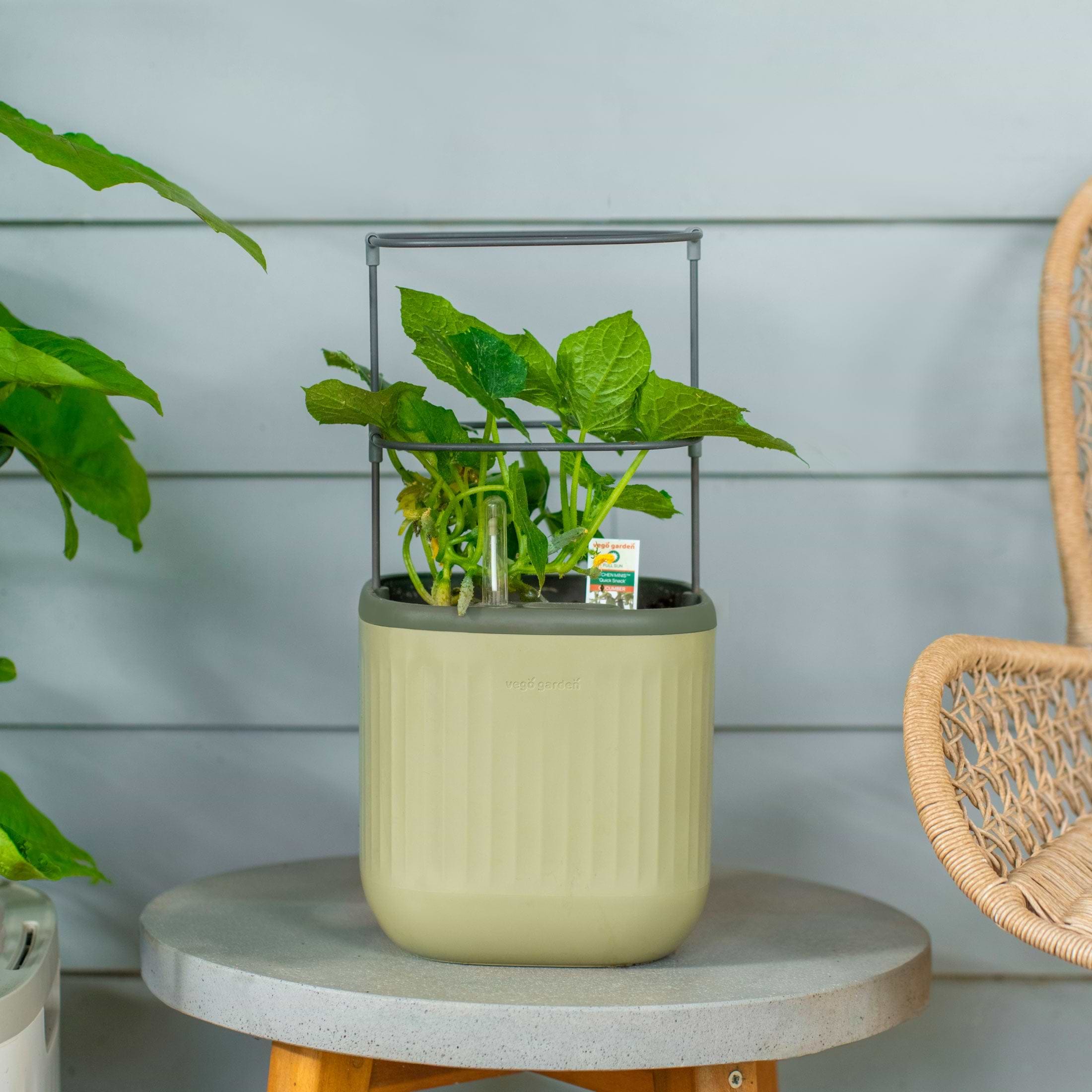 Self-Watering Mini Planter Pot with Trellis ｜ Vego Garden