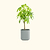 EZ Home Planter Fog Gray | Vego Garden