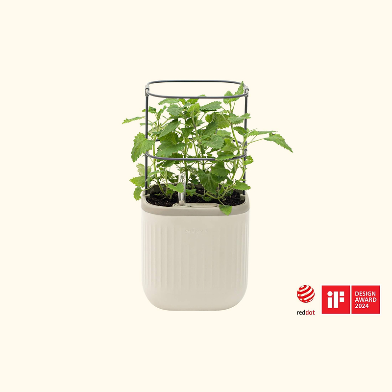 vego-garden-Self-Watering-Mini-Planter-Pot-with-Trellis