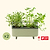 vego-garden-Self-Watering-Herb-Planter-Box-with-Trellis