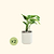 EZ Home Planter Cream White | Vego Garden
