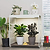 The Tabletop Grow Light Garden - 1 Tier | Vego Garden