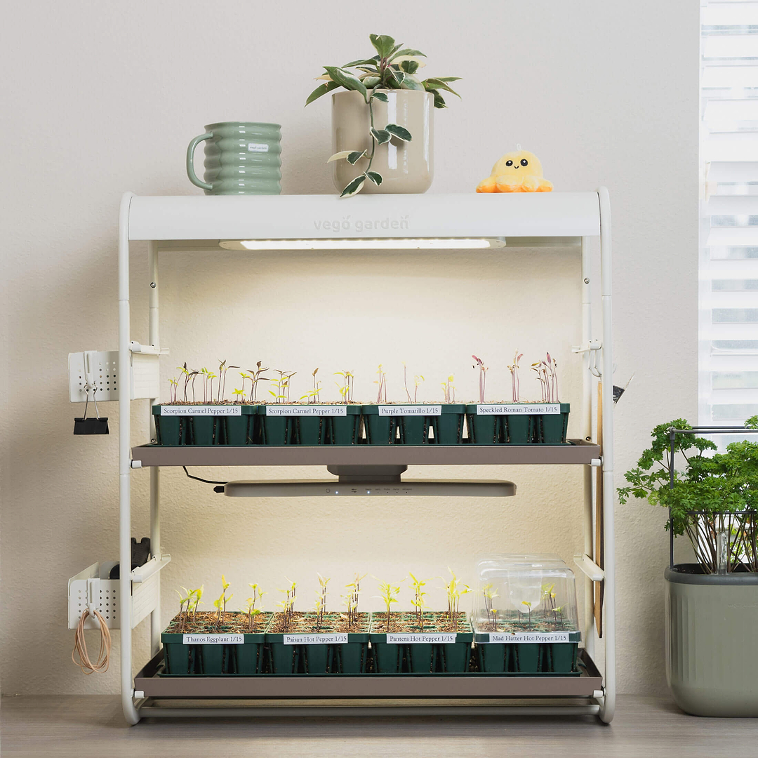 top grow lights for indoor plants 2 Tier Tabletop Grow Light Garden