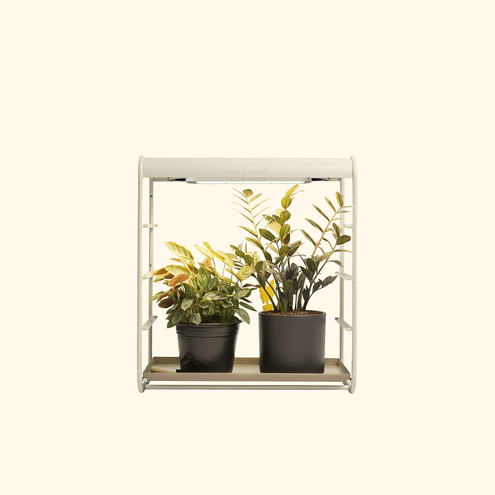 tabletop plant grow light 1 Tier Tabletop Grow Light Garden