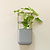 Planter Wall Mount Kit | Vego Garden