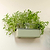 Planter Wall Mount Kit | Vego Garden
