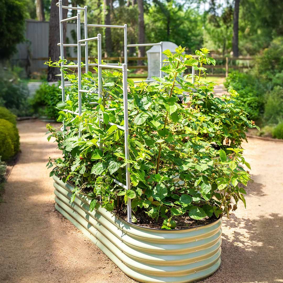 trellis planter wall Vertical Herb Garden Wall Trellis System