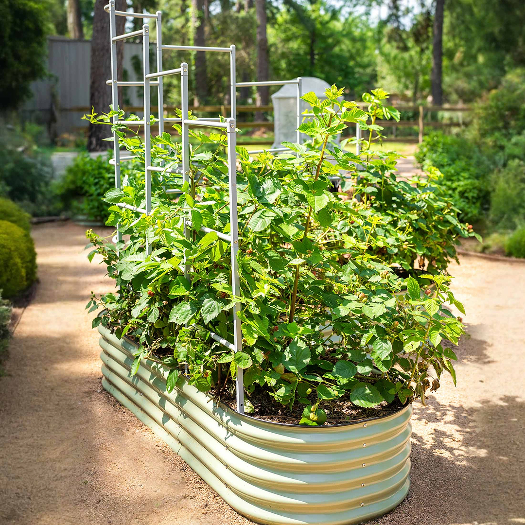 trellis planter wall Vertical Herb Garden Wall Trellis System