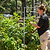 Vego Garden Modular Wall Trellis