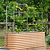 Wall Trellis System | Vego Garden