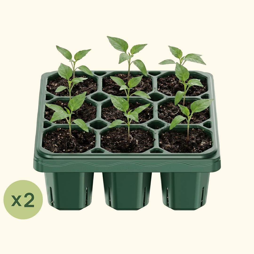 Giga Seedling Tray