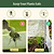 Vego Garden Cover System