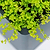 32" Tall Modern 83" x 83" L Shape Metal Raised Garden Bed 