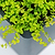 32" Tall Modern 42" x 42" Metal Raised Garden Bed - With Intermediate Floor