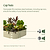 Vego Garden Cap Nuts Food Grade 304 Stainless steel hardware, including cap nuts, ensure the safety of your hands, soil and harvests