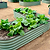 17 tall L | shaped metal garden container | Large Size | Olive Green | Vego Garden raised garden bed