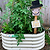 Kids First Garden Bed 