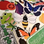 Vego Garden Sticker Kit - 4