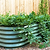 Locally Sourced Organic Worm Castings Omri Certified Vego Garden Metal Raised Garden Bed