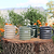 Vego Garden | Coffee Mug | Group Shot