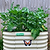 Vego Garden Sticker Kit - 7