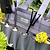 Vego Garden Bag close up