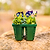 Vego Garden Jumbo Seedling Tray