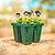 Jumbo Seedling Tray - 5" x 5"