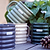 Vego Garden | Coffee Mug | Group Shot