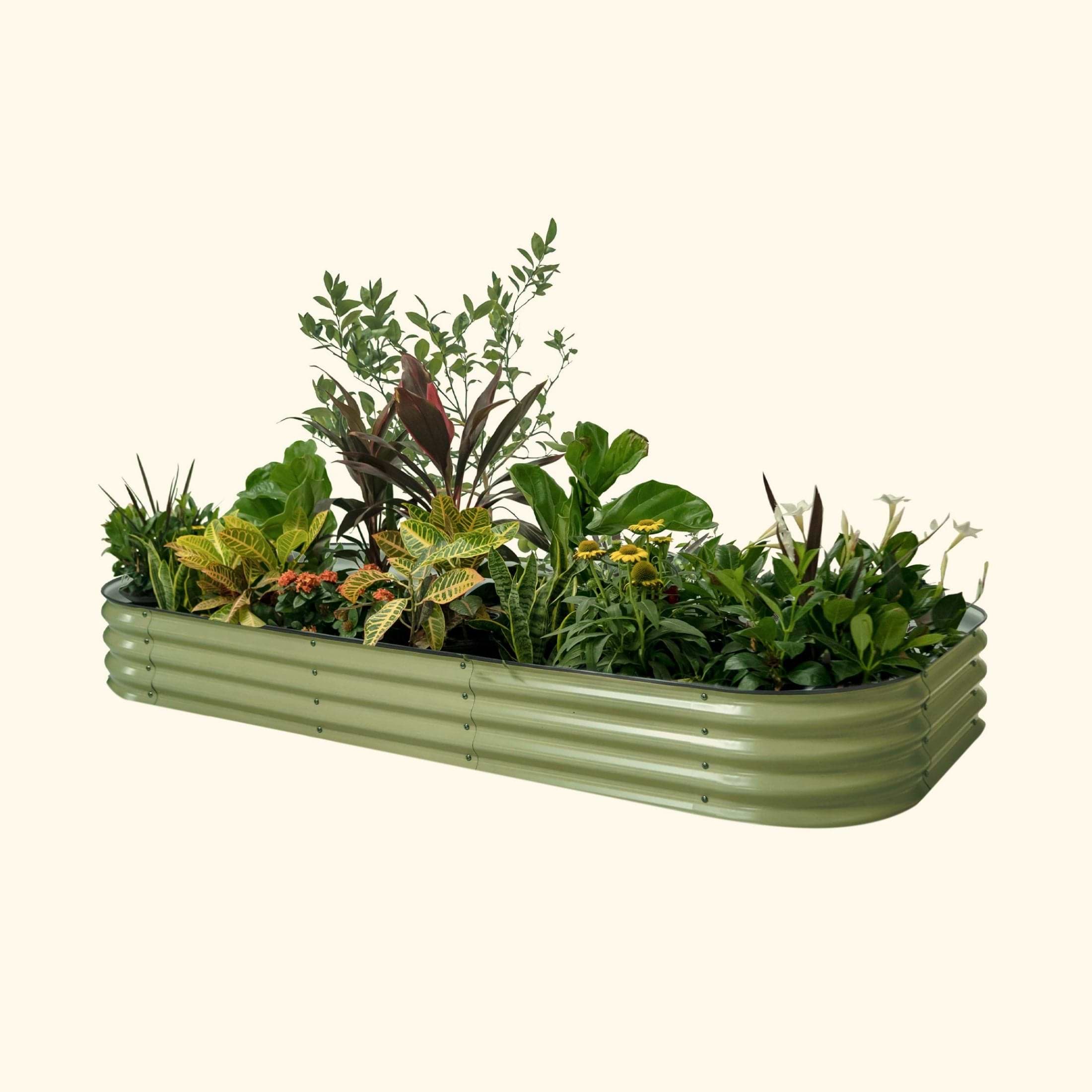 vego-garden-11tall-extra-tall-