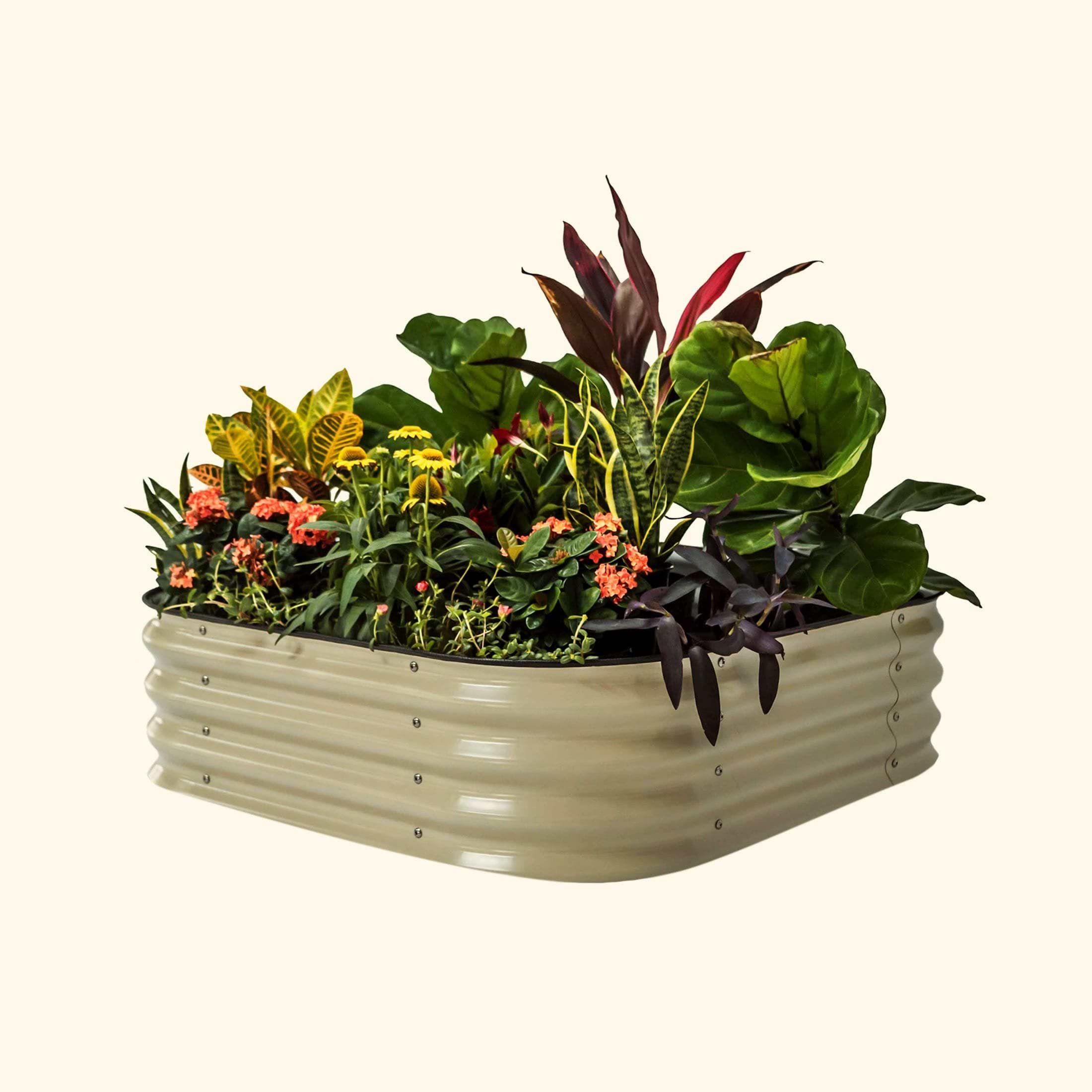 vego-garden-11tall-extra-tall-