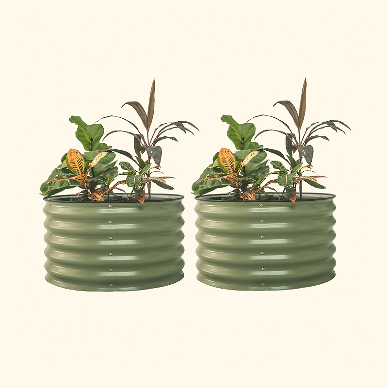 Vego Garden 17 tall Berry garden bed Olive Green