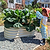 Vego Garden | 17" Tall Kids First Garden Bed 42" x 24" | Pearl White