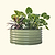 17" Tall 42" Round Modular Metal Raised Garden Bed Kit | Vego Garden | Olive Green