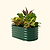 Vego Garden | 17" Tall Kids First Garden Bed 42" x 24" | British Green