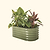 Vego Garden | 17" Tall Kids First Garden Bed 42" x 24" | Olive Green