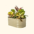 Vego Garden | 17" Tall Kids First Garden Bed 42" x 24" | Pearl White