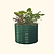 Vego Garden | 32" Extra Tall 42" Wide Round Metal Raised Garden Bed Kit | British Green