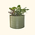 Vego Garden | 32" Extra Tall 42" Wide Round Metal Raised Garden Bed Kit | Olive Green