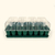 Vego Garden | Seedling Trays - 10x20-4 Jumbo Kit