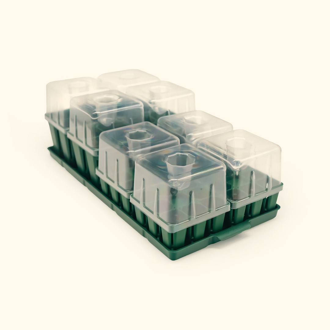 vego garden seed starting Vego Garden 10