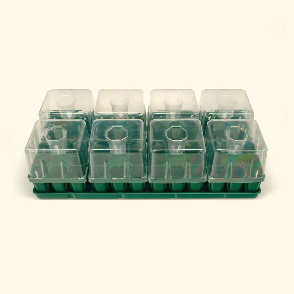 vego garden seed trays Seed Starting Bundle with Lid