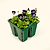 Vego Garden Jumbo Seedling Tray