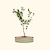Vego Garden Tree Surround Pearl White