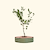 Vego Garden Tree Surround Olive Green