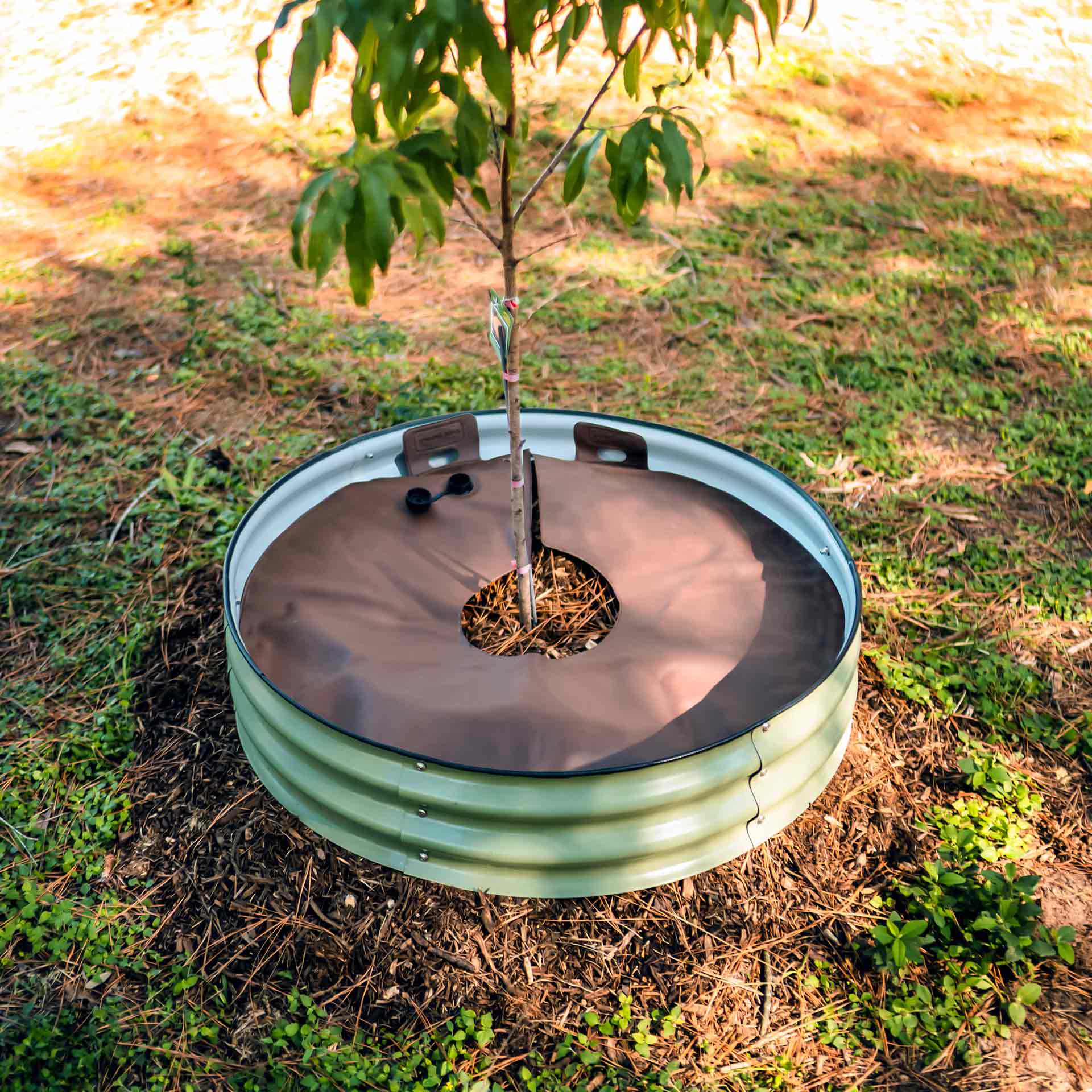 24 Inch Tree Rings Tree Surround & Watering Ring Kit