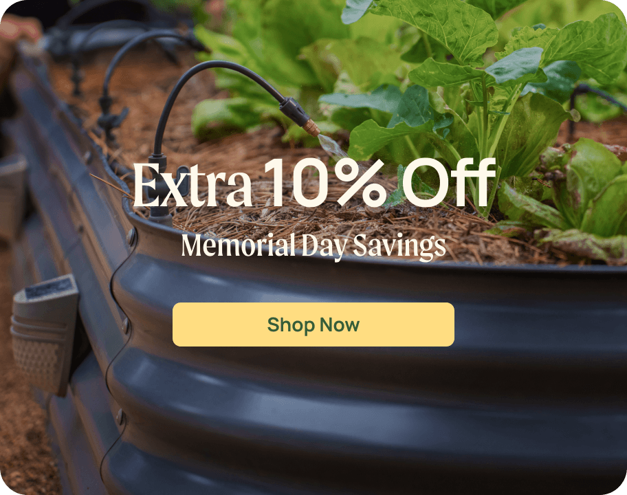 Vego garden beds